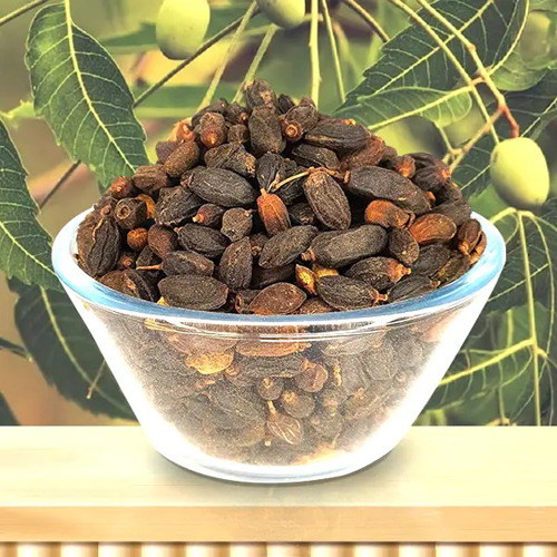 Neem Seed