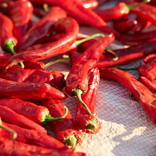 S4 Chili / Sanam Chili